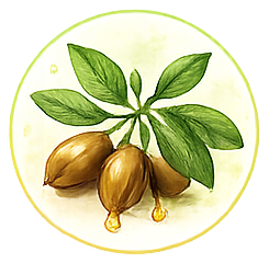 Jojoba Oil